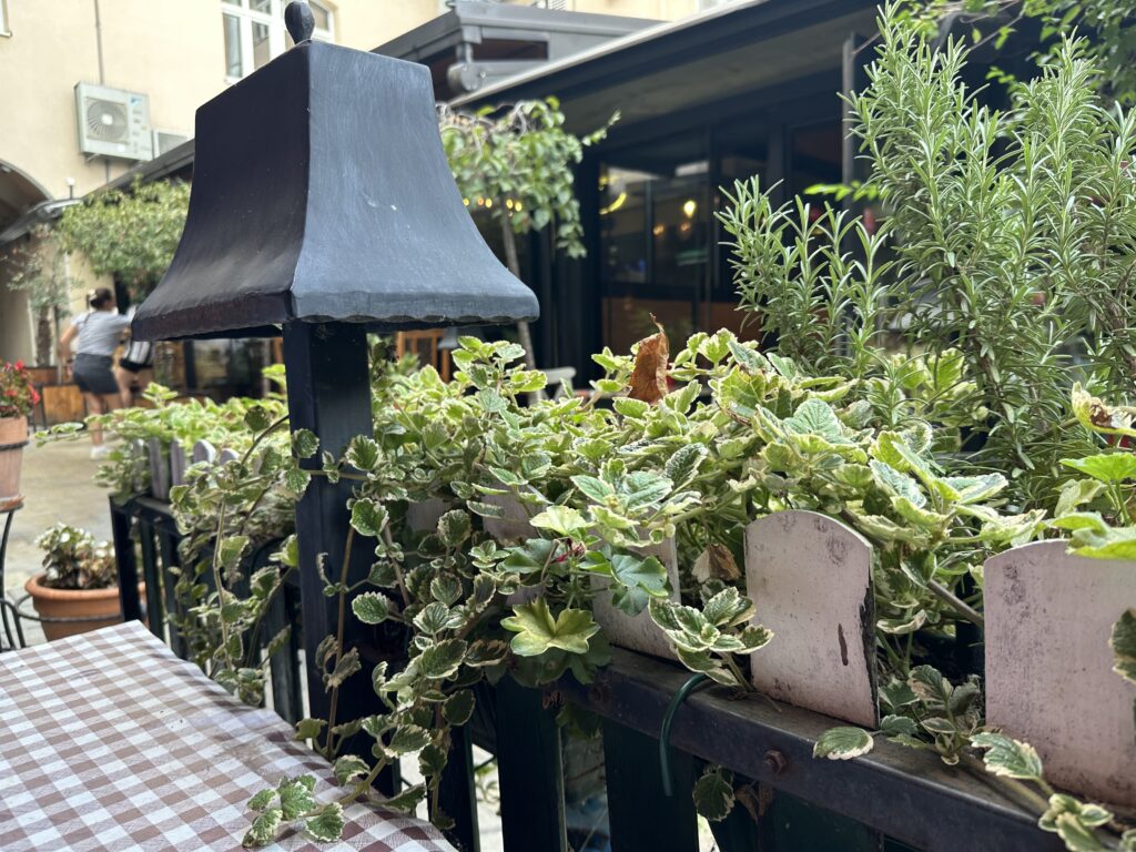 Pranzo in un localino sparso tra le viuzze della città 